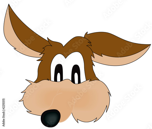 coyote