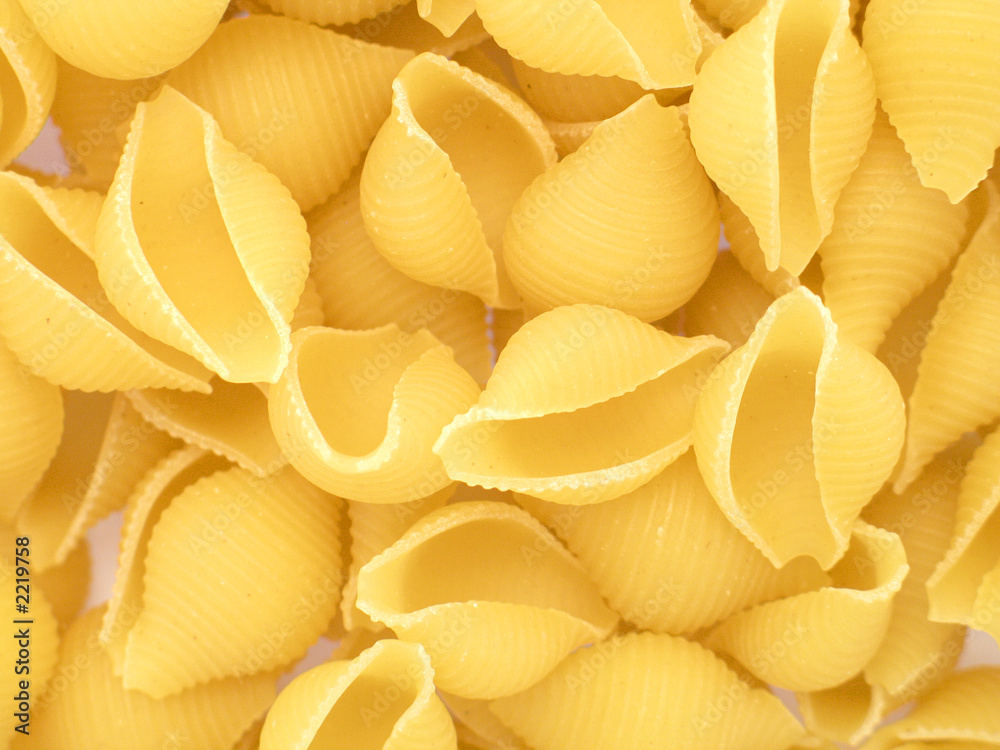 muscheln nudeln conchiglie muscheln nudeln conchiglie