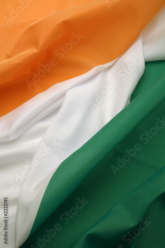portrait irish flag