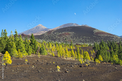 Foto Tenerife Landscape