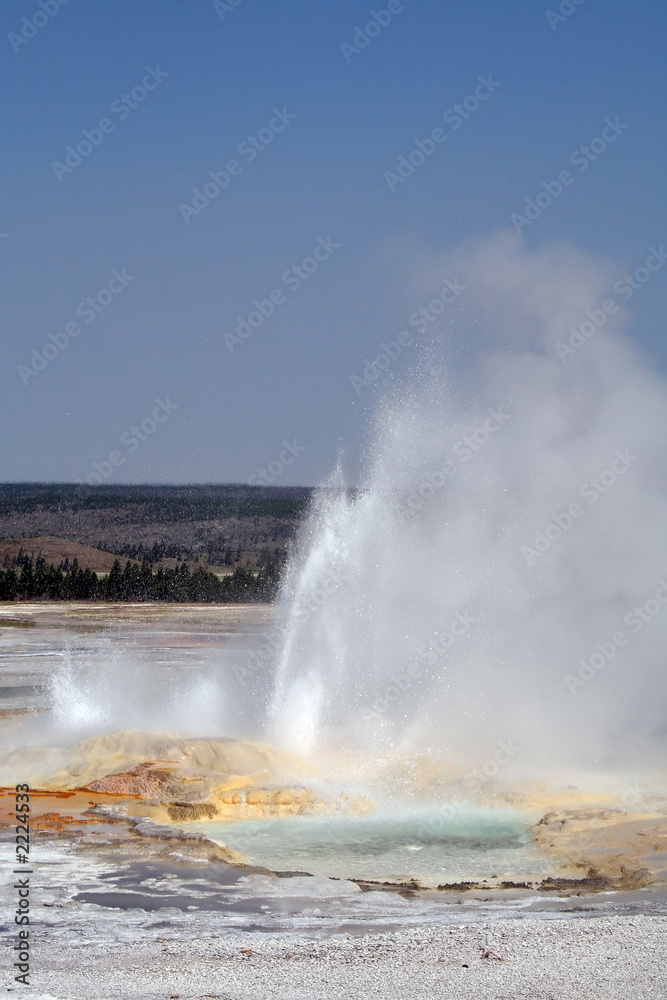 erupting geyser erupting geyser