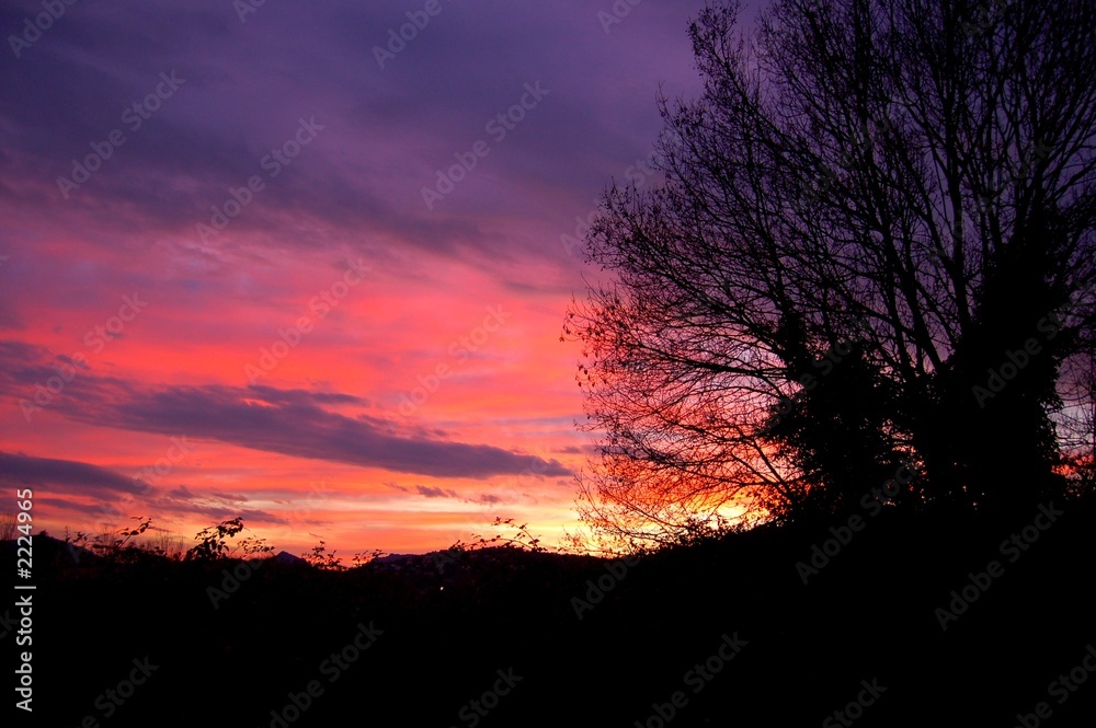Fototapeta premium provence alpes cote d'azur