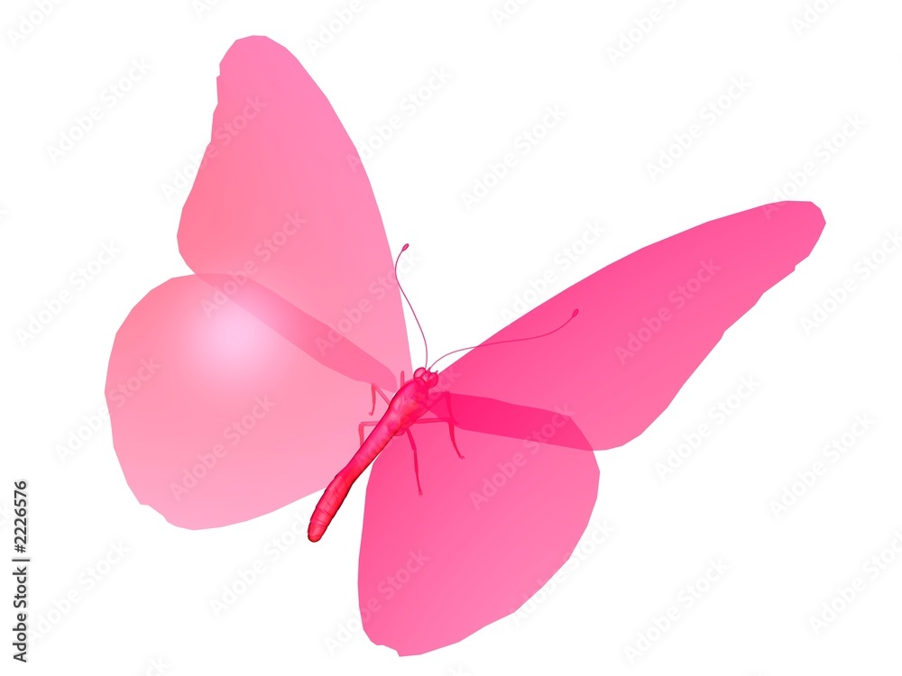 papillon the pink butterfly papillon the pink butterfly