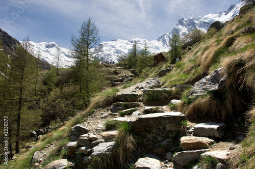 monte rosa