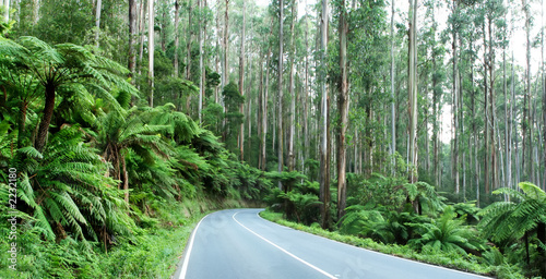 australian mountain road