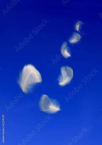 plumes 3