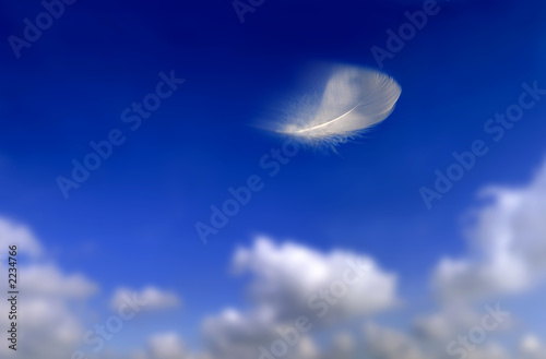 plume 1