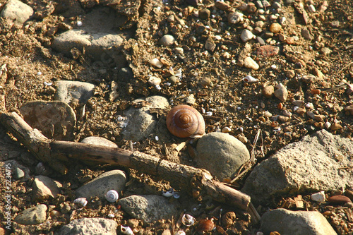 shell 002