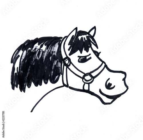 poney