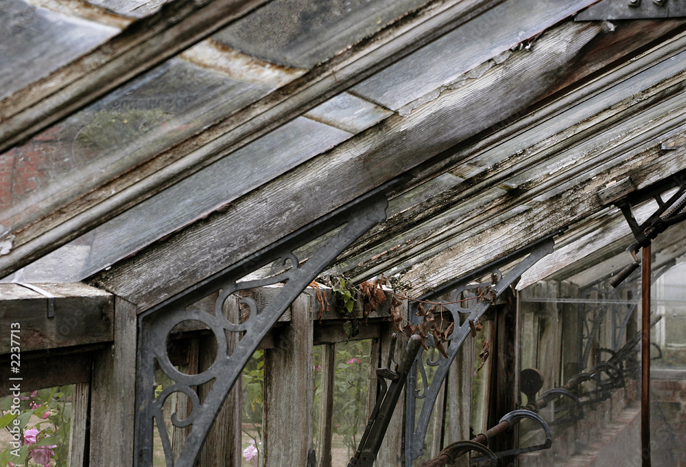 decaying wooden greenhouse interior decaying wooden greenhouse interior