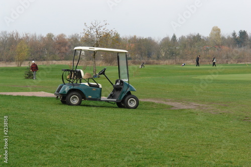 golf caddy