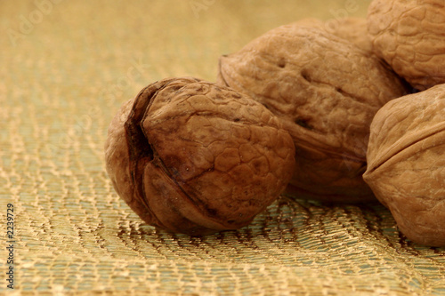 Foto nuts