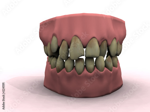 teeth model