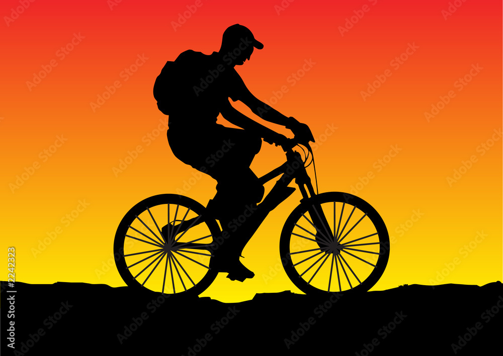 Obraz premium sunset bicycle