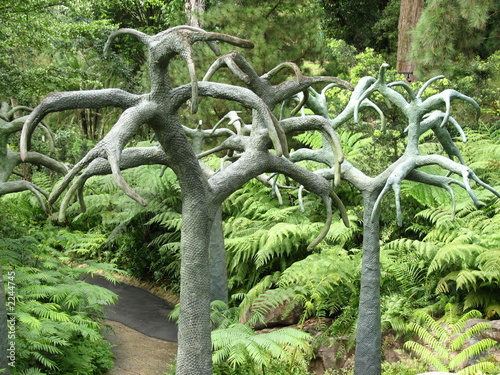 prehistoric trees
