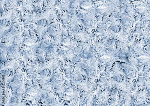 hoarfrost