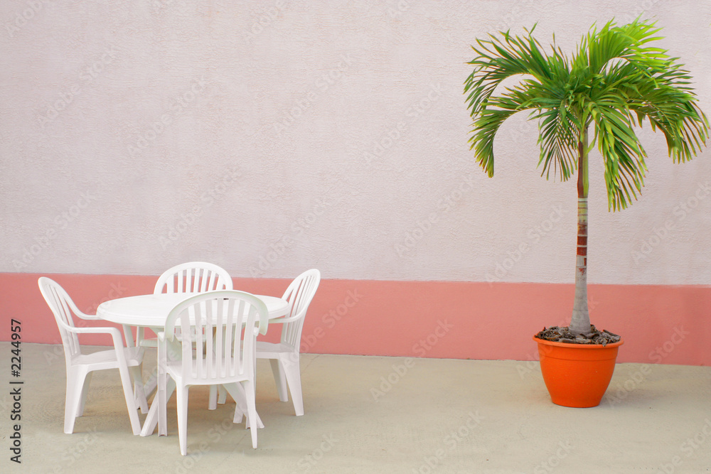 palm and chairs