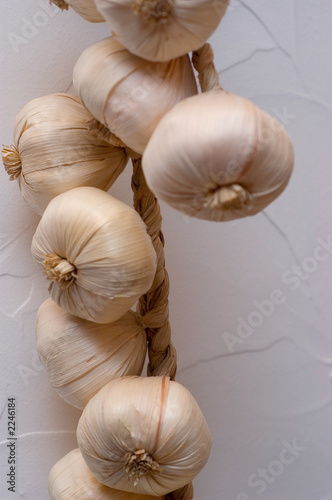 garlic