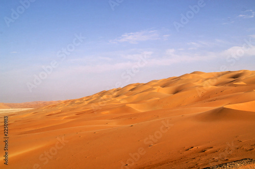 liwa desert 23
