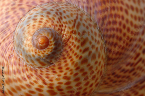 spirale