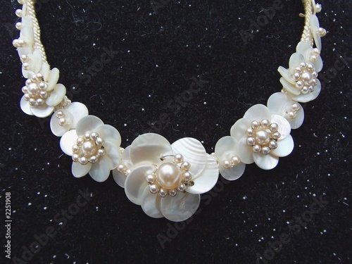 Wallpaper Mural necklace of mother-of-pearl Torontodigital.ca