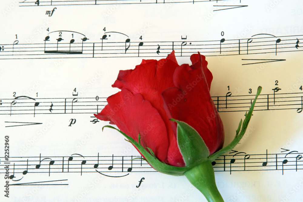 Naklejka premium red rose on music