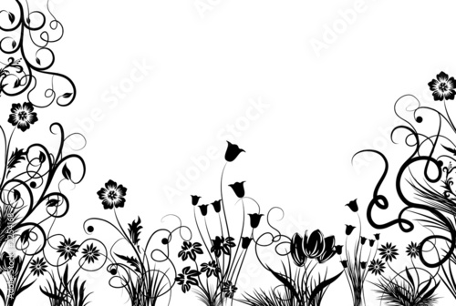 floral frame