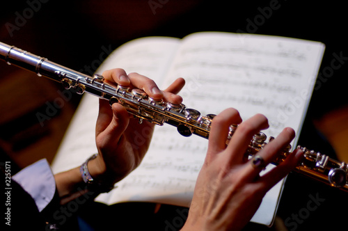 flute