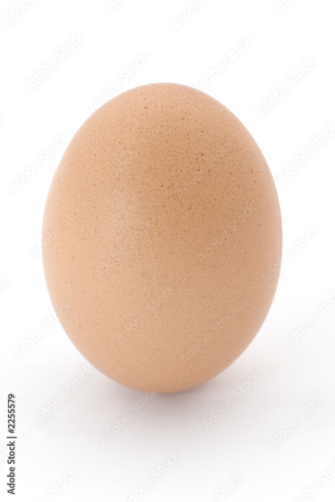 upright egg