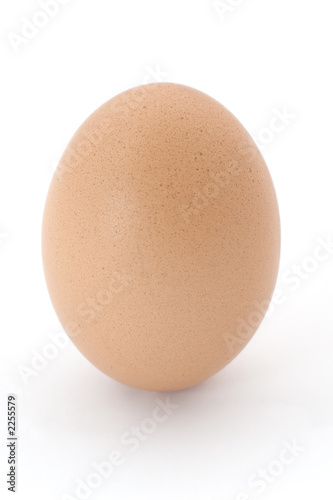 upright egg