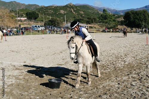 equitation