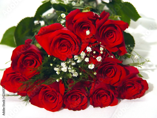 closeup of a dozen roses
