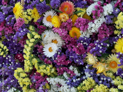 fleurs séchées © Dominique VERNIER
