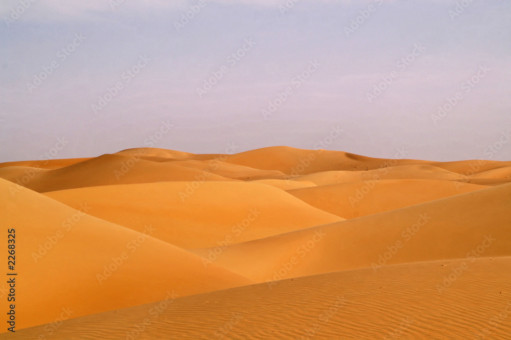 liwa desert 16