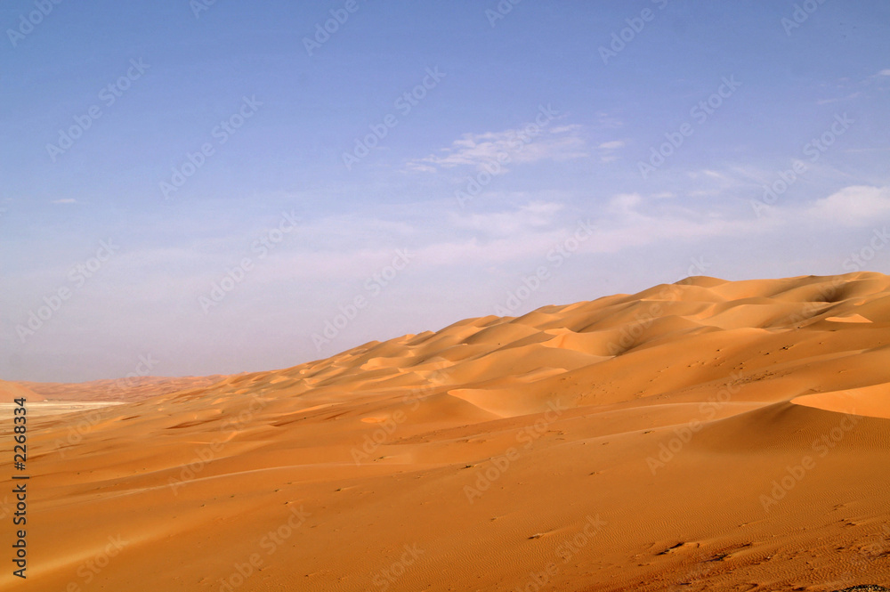 liwa desert 15