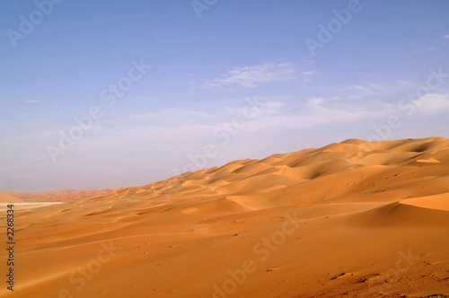 Fototapeta Naklejka Na Ścianę i Meble -  liwa desert 15