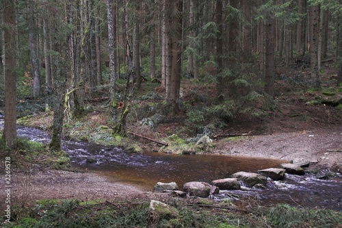 furt im wald