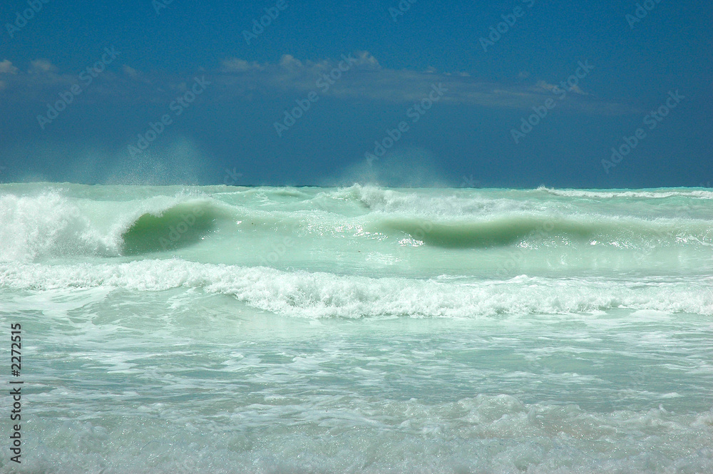 die welle die welle