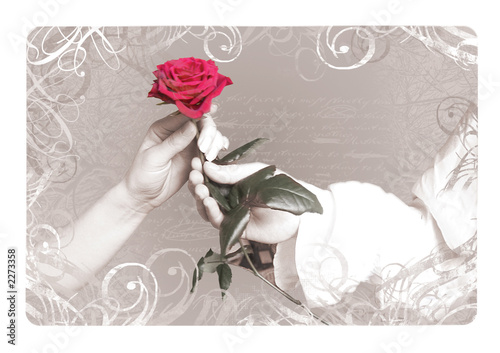 vintage background with a rose photo