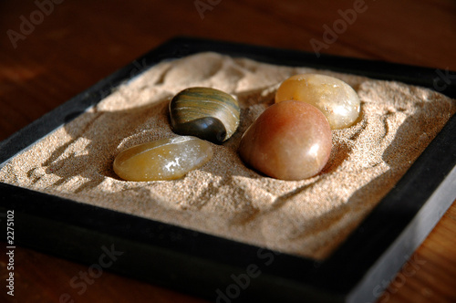 mini jardin zen
