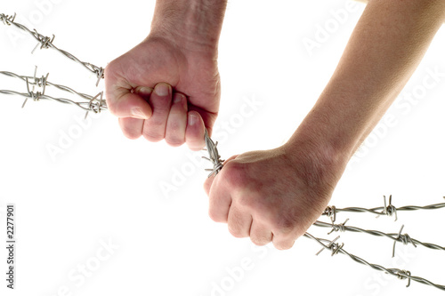 Принти на полотні fight