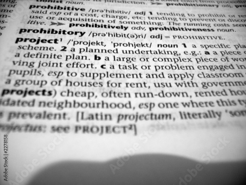 definition of project