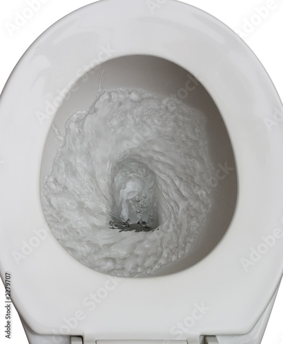 flushed toilet