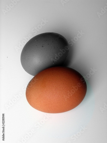 oeuf