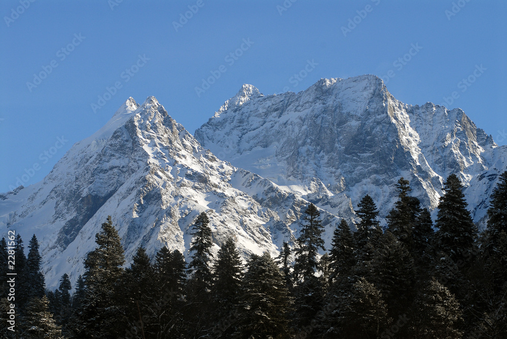 the caucasian mountains