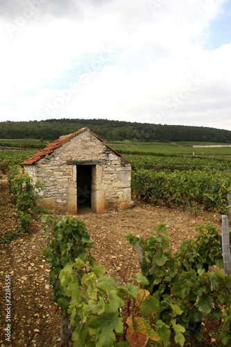 maisonnette de vigne photo