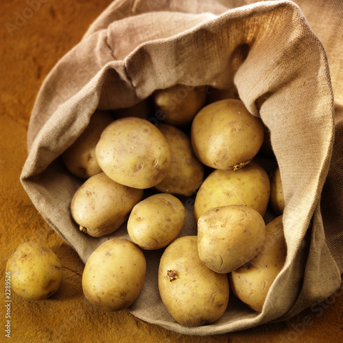 overflowing bag of potatos photo