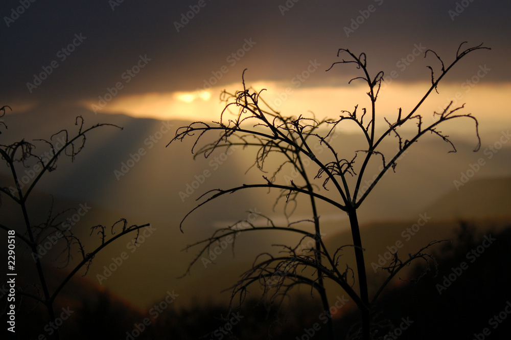 Obraz premium life and death