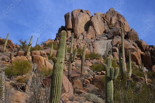 desert scenic with big boulder
