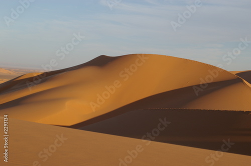dune avec pointe © Sahara Nature